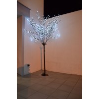 location arbres lumineux 2m50